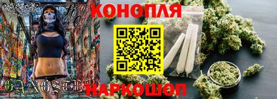 сатива Комсомольск-на-Амуре