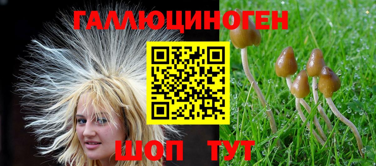 Усть-Илимск  Псилоцибиновые грибы GOLDEN TEACHER  Вход с VPN 
