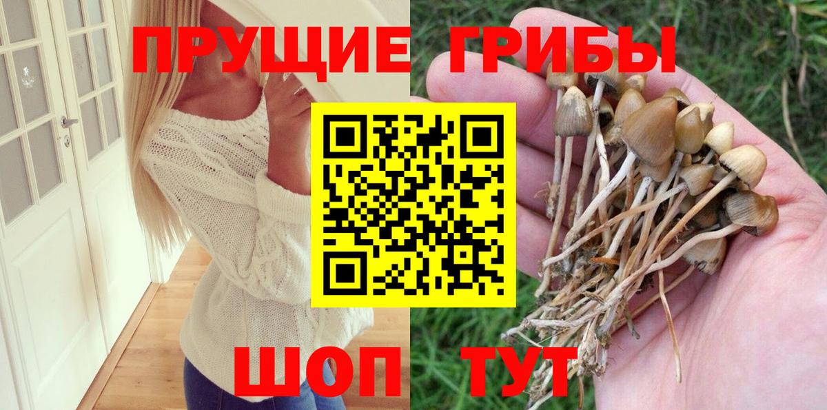 Псилоцибиновые грибы Cubensis Усть-Илимск