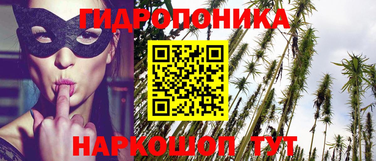 Конопля планчик  Вход с VPN  Канабис OG Kush  Канабис тримм  Усть-Илимск 